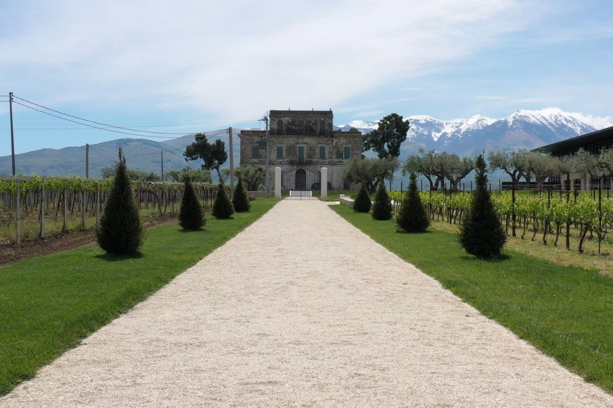 Cantina Castorani, dalla velocità della Formula 1 alla lentezza del vino