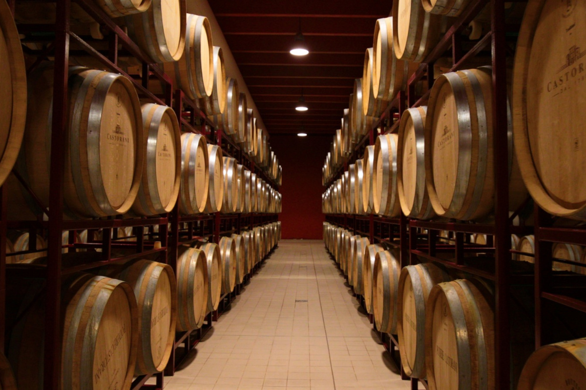 Cantina Castorani, dalla velocità della Formula 1 alla lentezza del vino