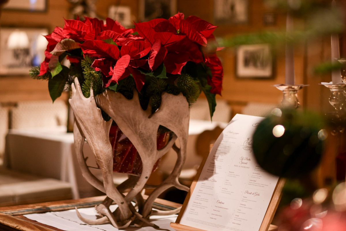 Stella di Natale, il gran ritorno che scalda gli ambienti: idee scenografiche per hotel e ristoranti