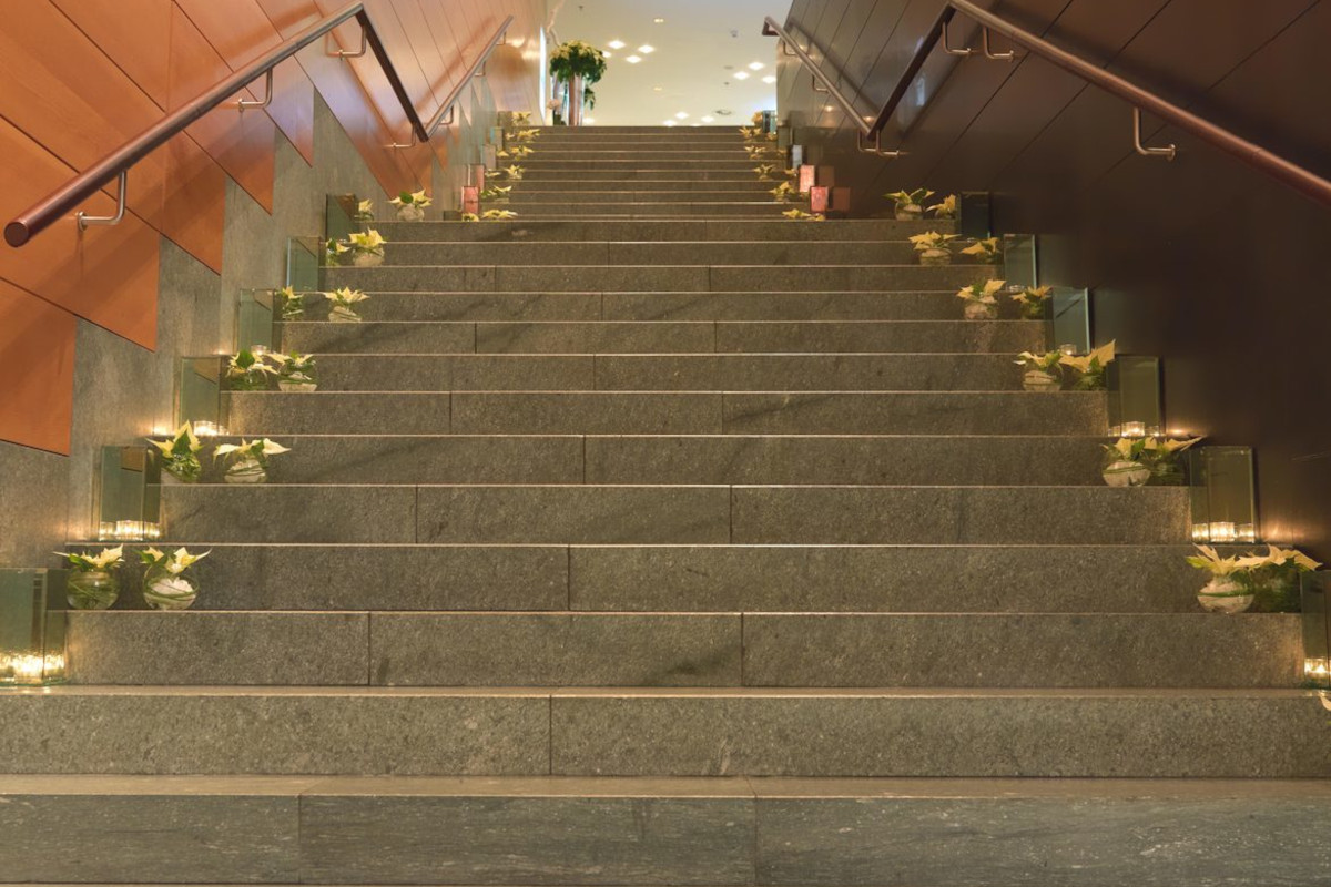 Stella di Natale, il gran ritorno che scalda gli ambienti: idee scenografiche per hotel e ristoranti