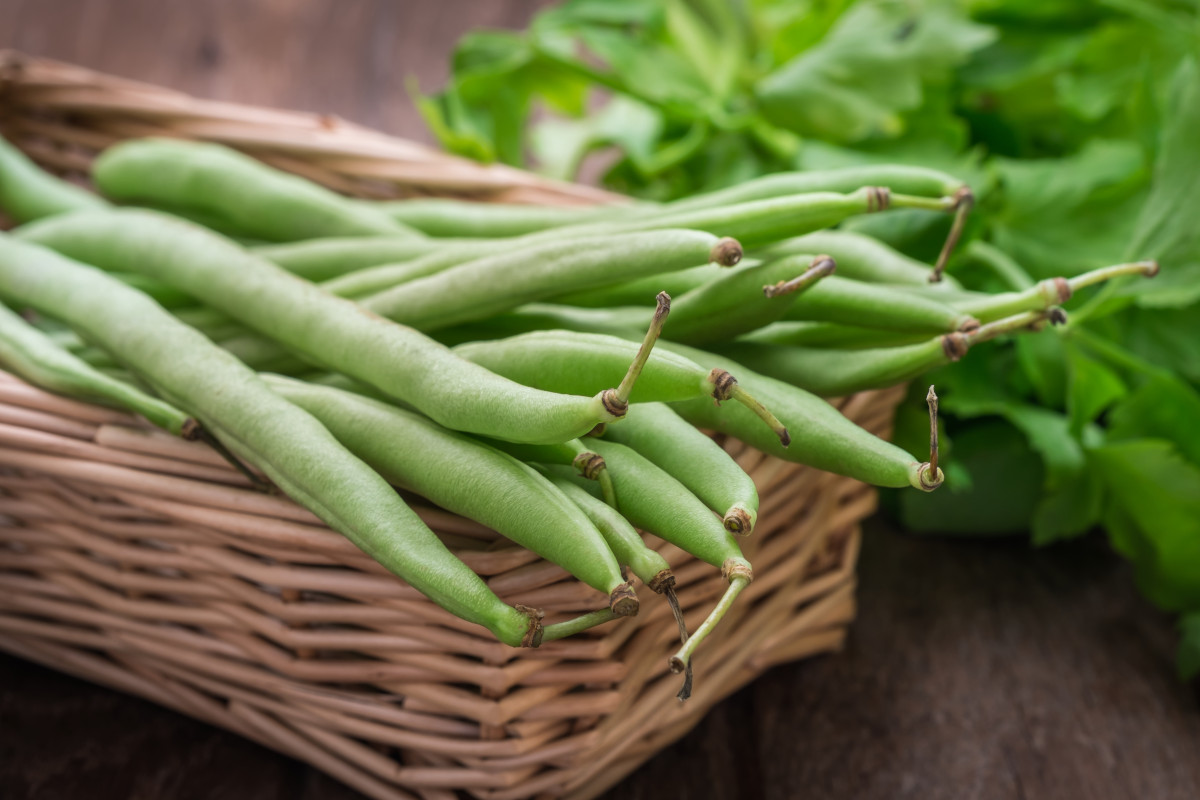 Legumi, che rivoluzione: da cibo povero a protagonisti della tavola