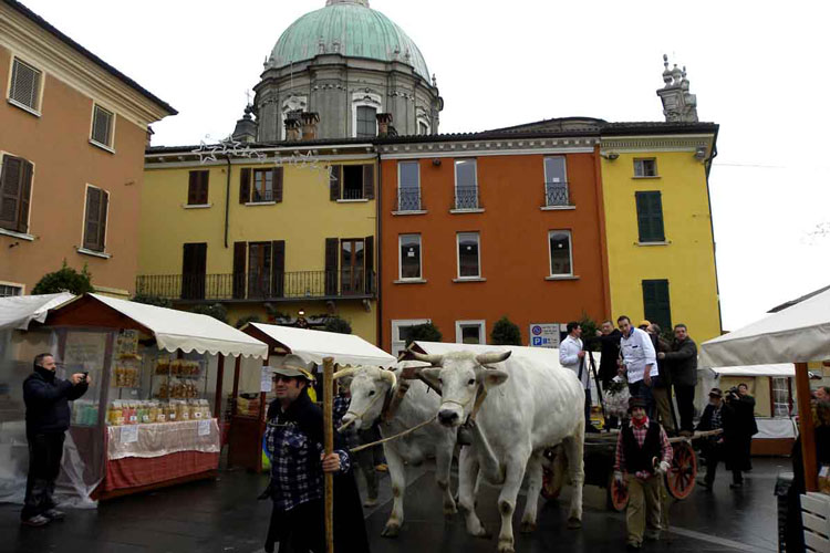 Un'edizione passata della Fiera di Lonato (La sostenibilit&agrave; e le bizze del clima alla 62&ordf; fiera di Lonato del Garda)