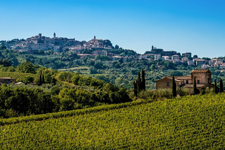(Forbes, le citt&agrave; del vino da visitare Montepulciano la prima al mondo)