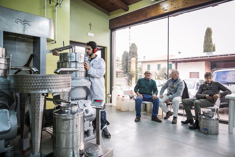 (Frantoi Aperti, 21&ordf; edizione 4 weekend tra passeggiate e degustazioni)