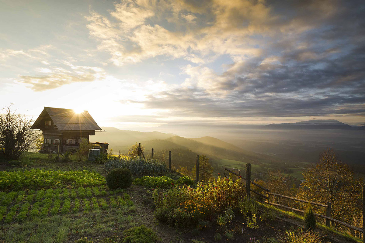 Alla scoperta della produzione agroalimentare locale - Foto FRanz Gerdl Alla scoperta della Carinzia Un’estate dalle mille esperienze