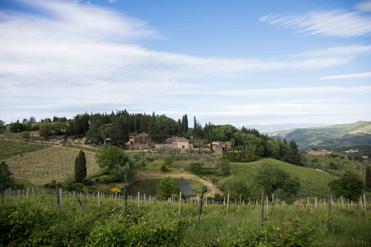 Montefili, la collina del Chianti Classico che esalta eleganza e territorio