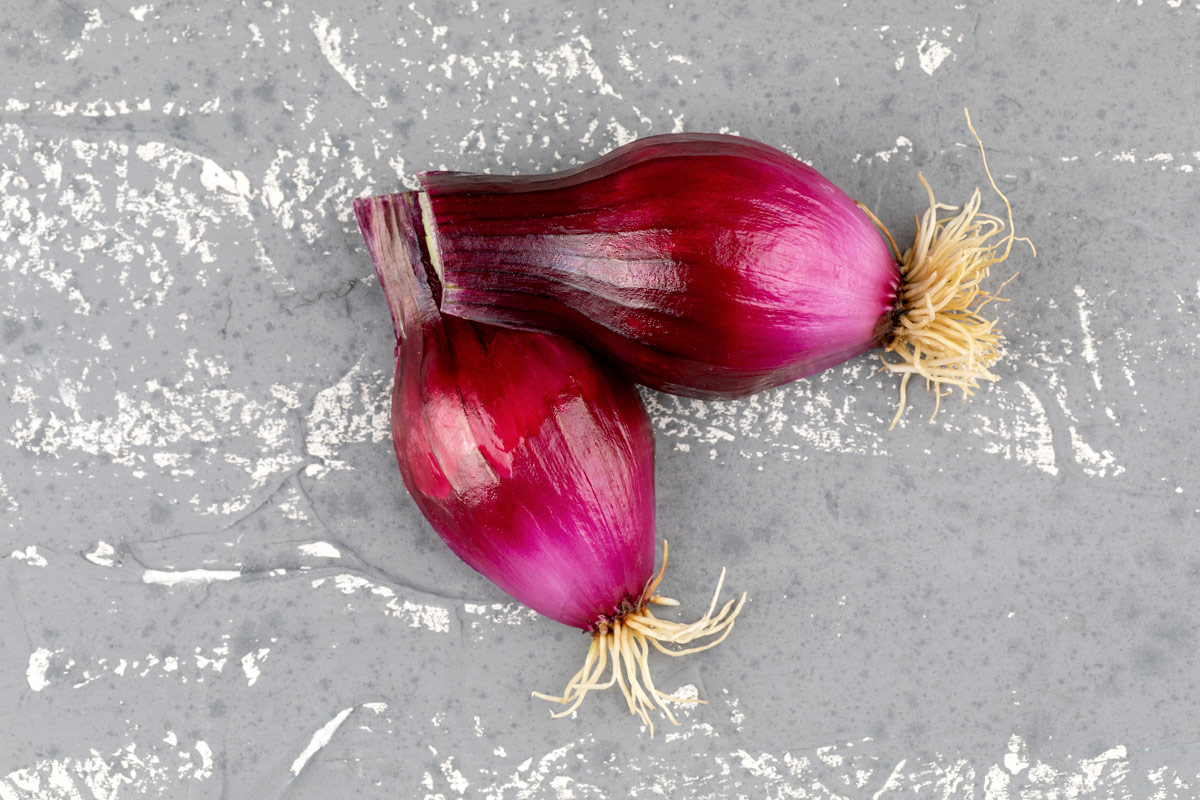 Cipolla Rossa di Tropea Calabria Igp Cipolla Rossa di Tropea Calabria Igp: un trionfo mediatico per l'orgoglio culinario calabrese