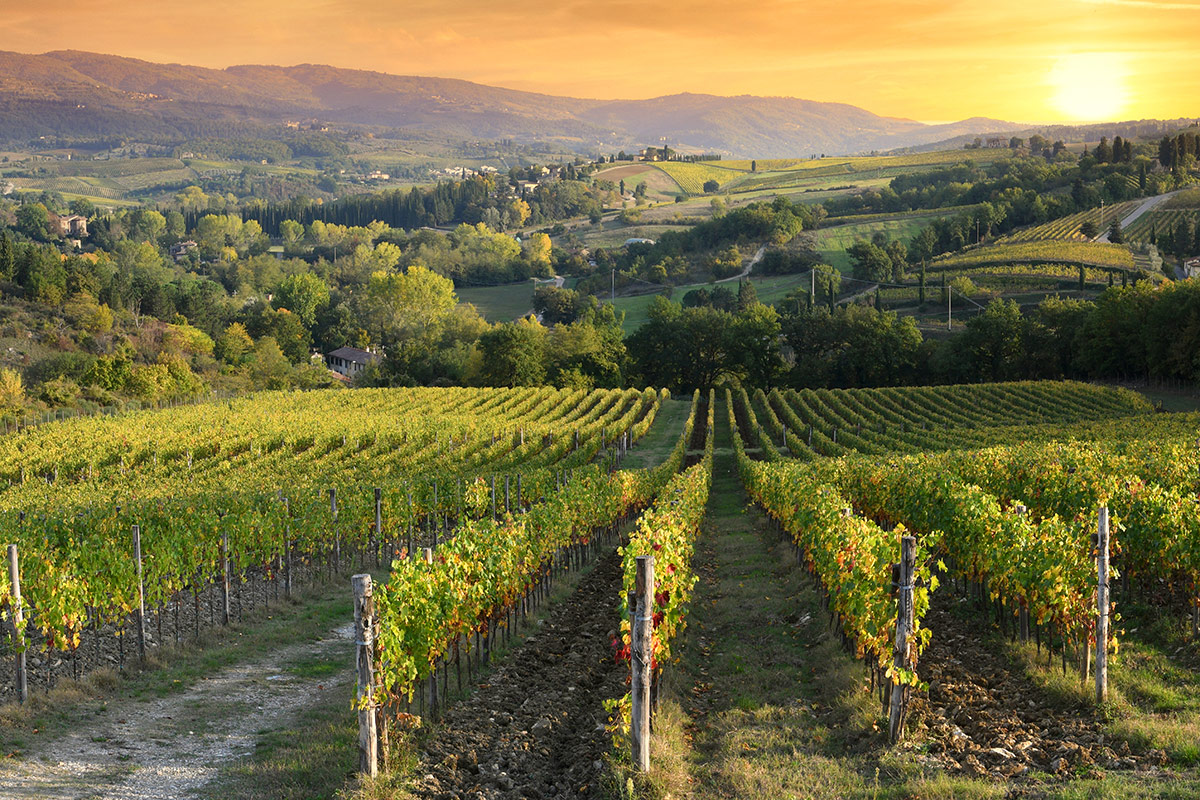 Con le Uga, il Chianti Classico Gran Selezione si fa in undici