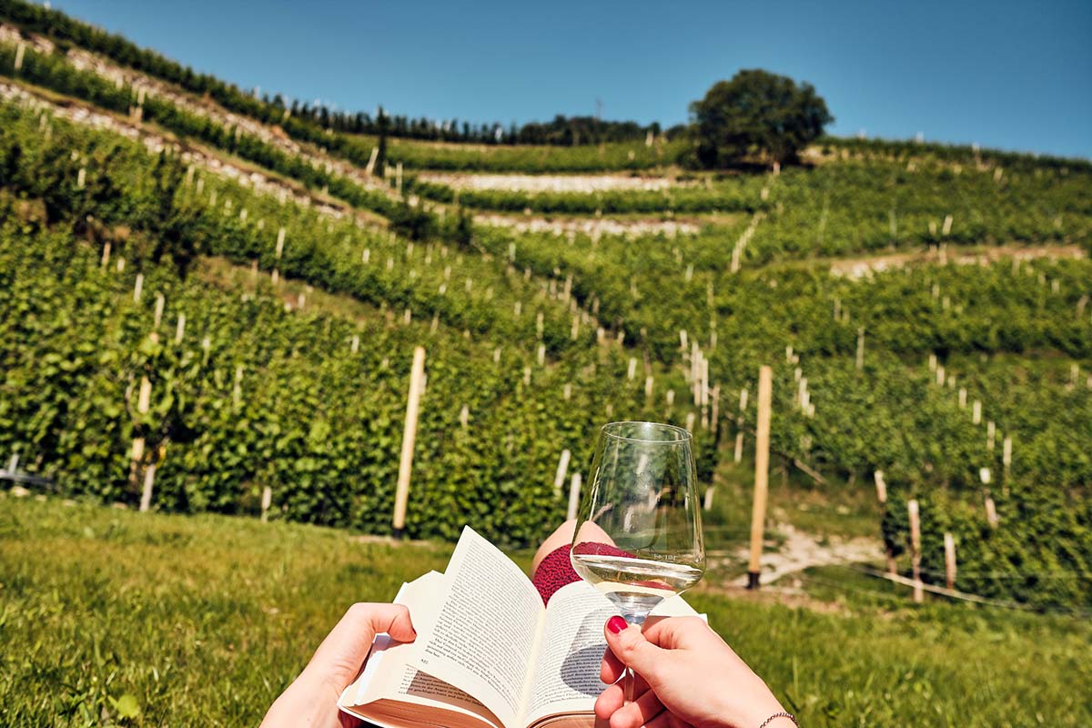 Haller Suites & Restaurant a Kranebitt, sulle colline di Bressanone. Foto: Tim Schardt Camera con vi... gna Indirizzi per dormire in un vigneto