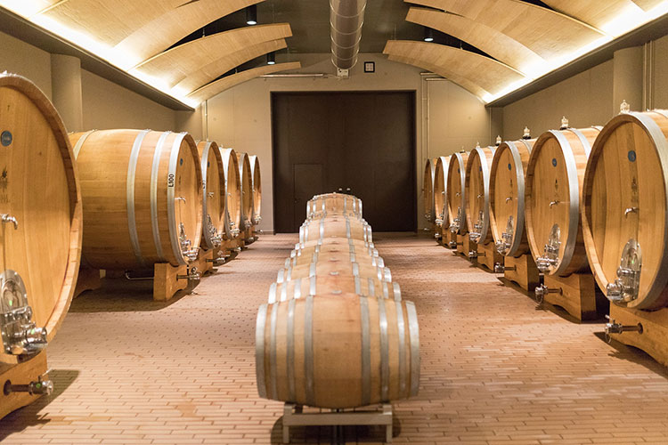 La cantina di Vallepicciola (I dialetti del rosa Nel Chianti omaggio al ros&eacute;)