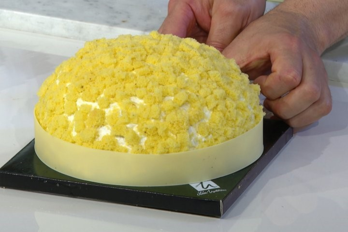 Torta mimosa, storia ed evoluzione del dolce simbolo della festa della donna