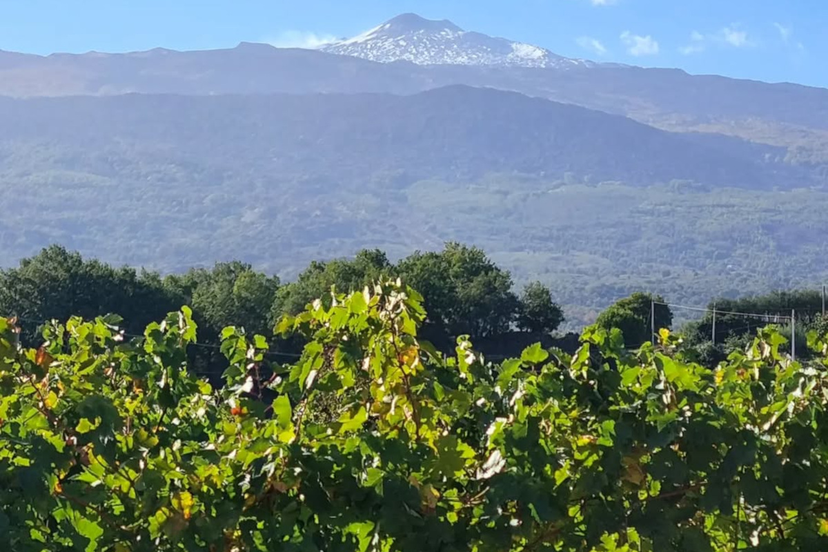 Frescobaldi entra in Tenuta delle Terre Nere: nasce una nuova alleanza sull’Etna