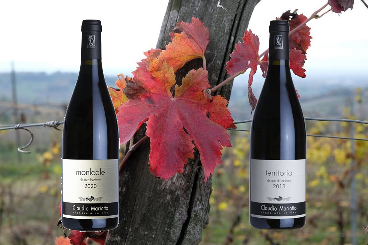 Vini rossi piemontesi: le etichette da scoprire e degustare con il freddo