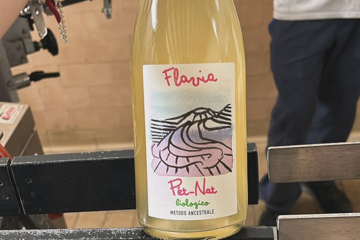 Flavia Rebellious Wines: un viaggio alla scoperta di vini naturali e sostenibili