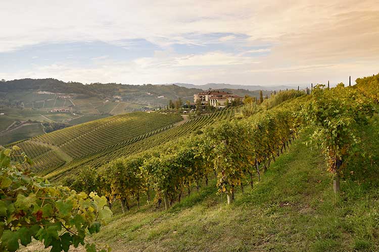 La tenuta in cui sorge Il Boscareto Resort & Spa (Credits: lefotodimarzo) Michelangelo Mammoliti cambia casa, da febbraio 2022 nella cucina del Boscareto Resort