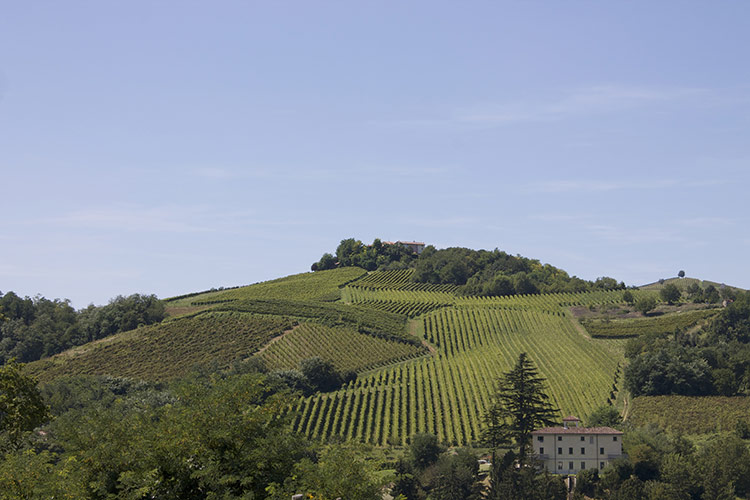 Il futuro di Poggio Rebasti cantina ristrutturata e online
