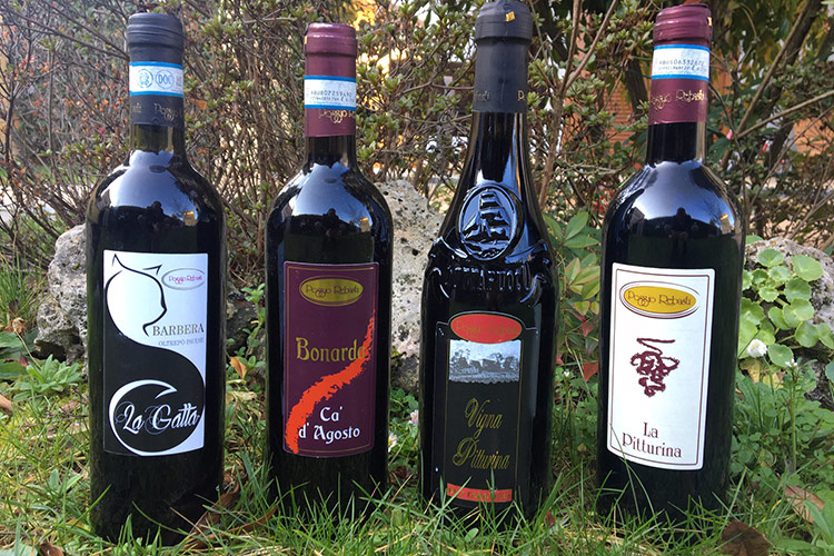 Il futuro di Poggio Rebasti cantina ristrutturata e online