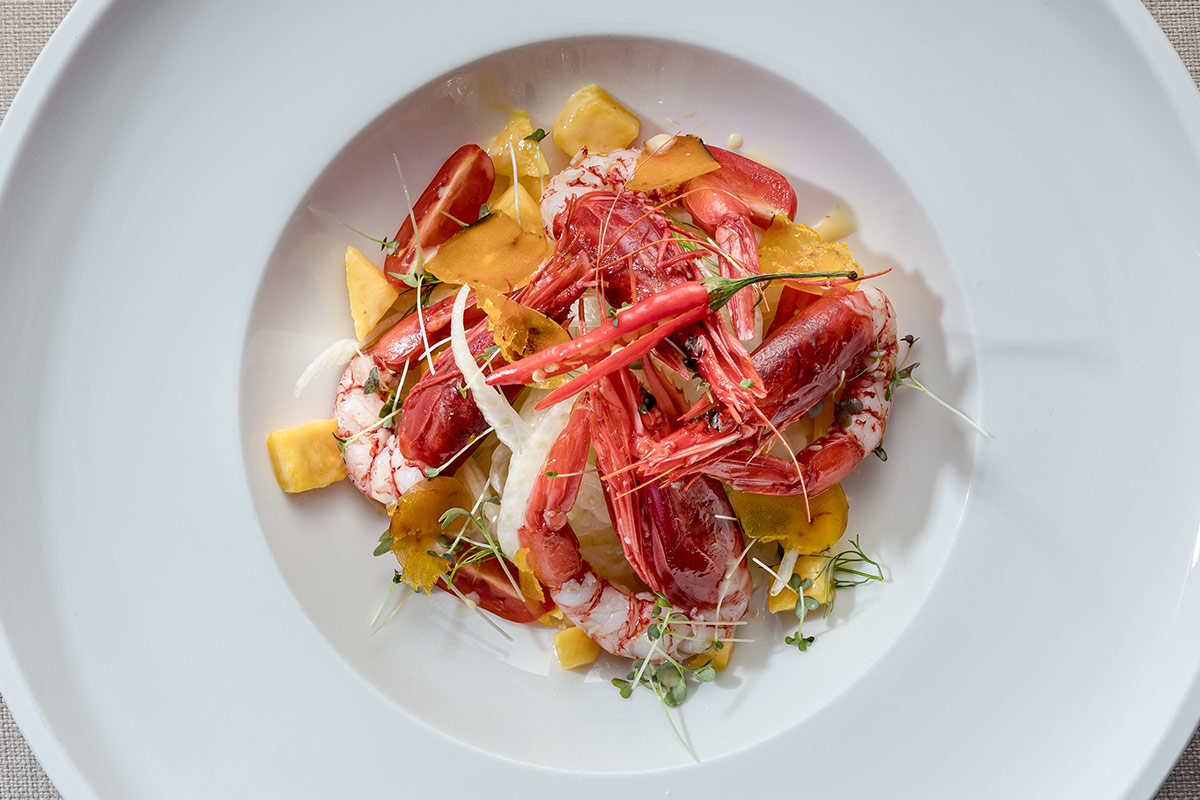 Insalata di gamberi rossi con mango, bottarga, sedano e caciotta pecorina Insalata di gamberi rossi con mango, bottarga, sedano e caciotta pecorina