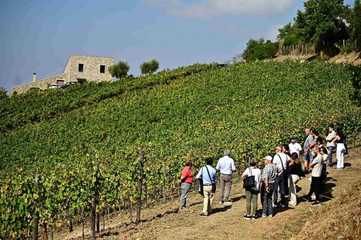 Dimentica le spiagge, l'Entroterra chiama: a tavola nei castelli del Cilento