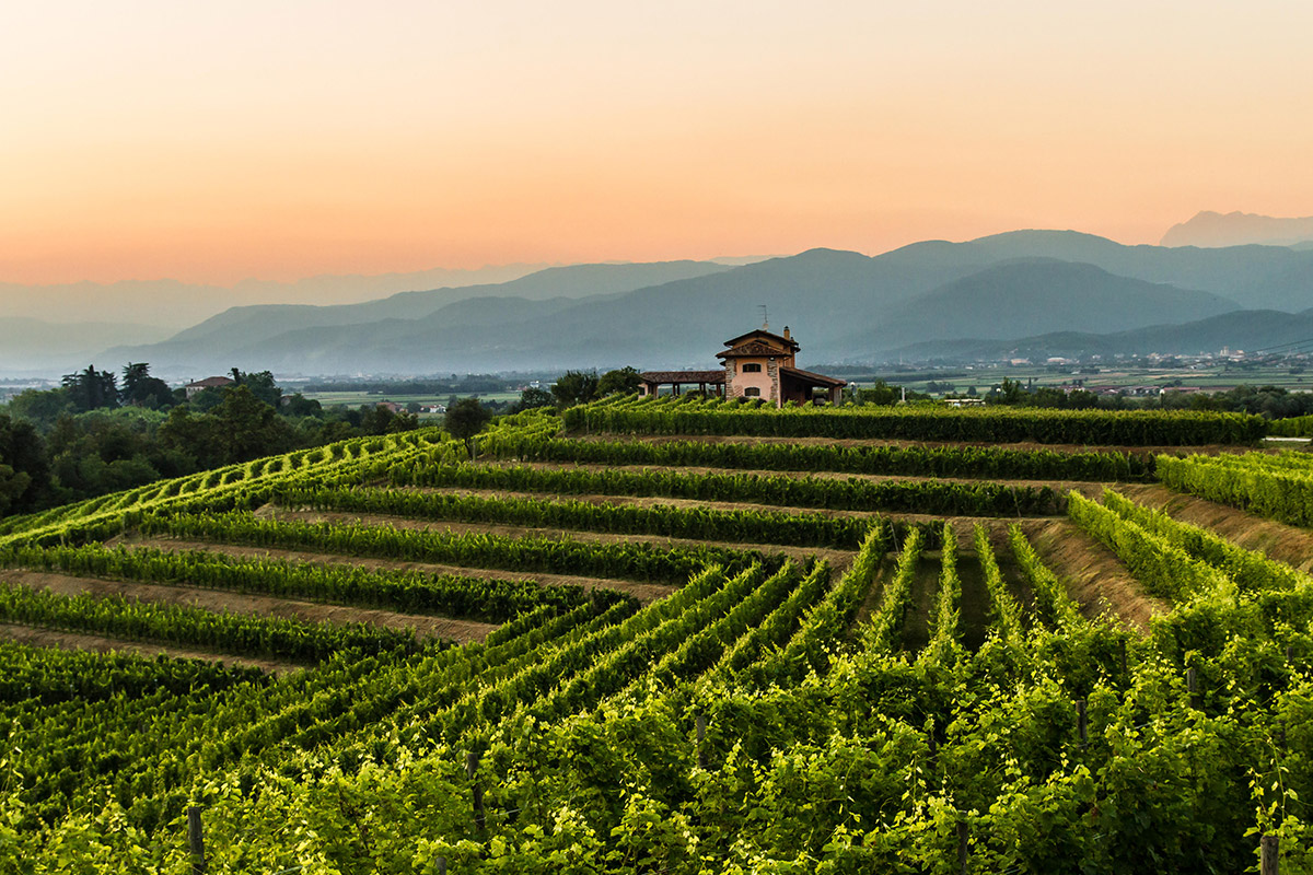 Alla scoperta del Friuli Venezia Giulia, dai colli fino a Trieste