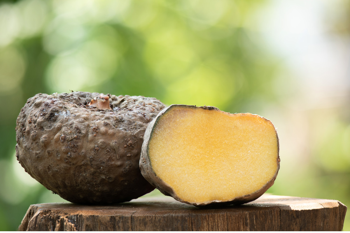 I motivi per cui dovresti iniziare a mangiare il Konjac