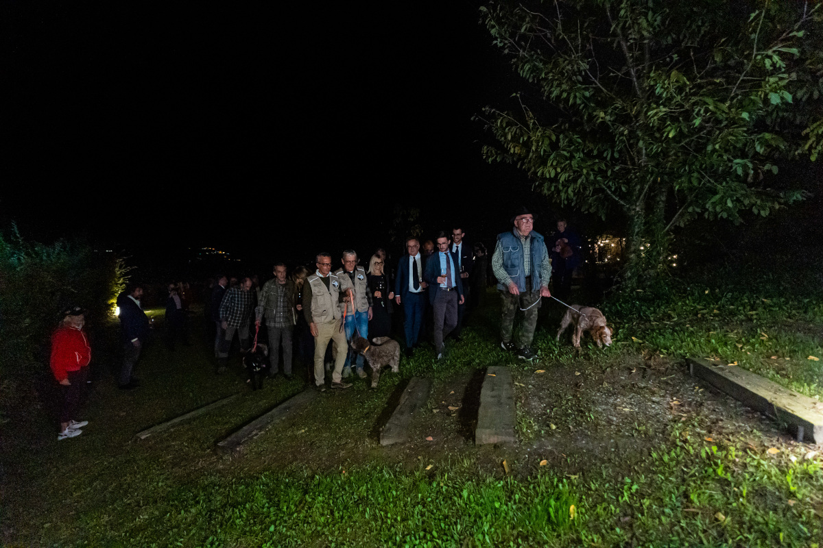 Tartufo bianco d'Alba: celebrato il Capodanno della raccolta posticipata