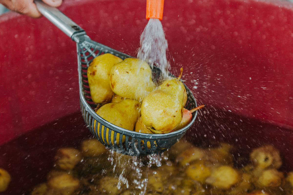 £$I maestri raccontano...$£ Le Morre, dove la frutta diventa arte in bottiglia £$I maestri raccontano...$£ Le Morre, dove la frutta diventa arte in bottiglia