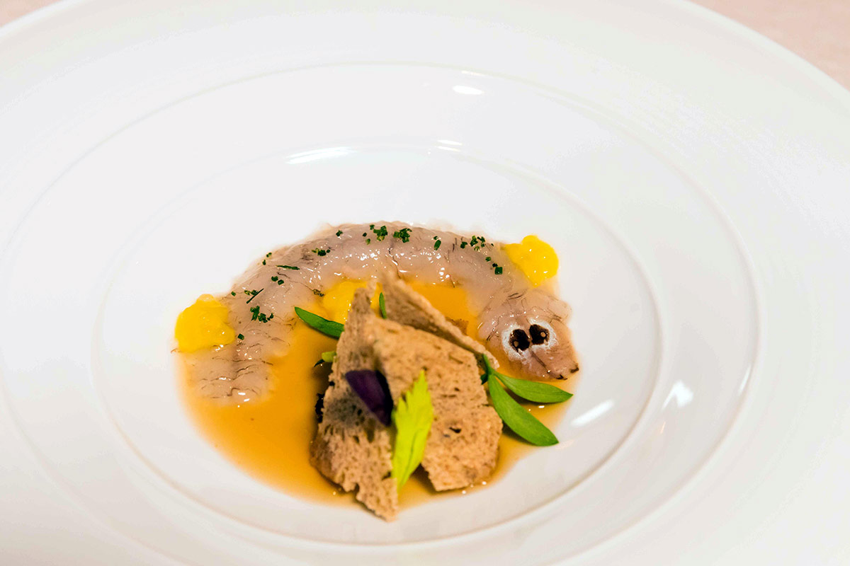 Cicala e lumaca - foto Giuseppe Di Mauro Cicala e lumaca