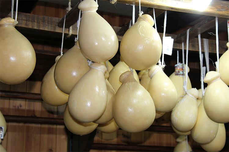 La provola dei Nebrodi punta alla Dop Verticale di 5 stagionature a Taormina