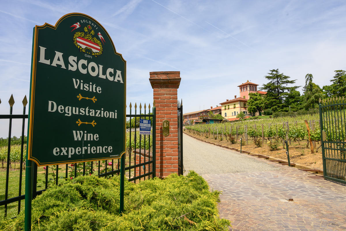 Intervista a Chiara Soldati: «il vino italiano ha un futuro, ma serve coraggio» Intervista a Chiara Soldati: «il vino italiano ha un futuro, ma serve coraggio»