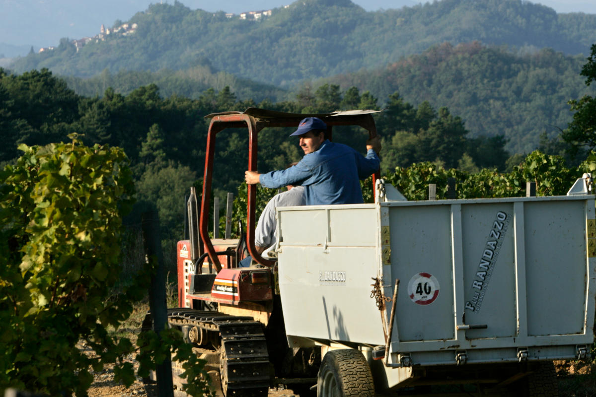 Intervista a Chiara Soldati: «il vino italiano ha un futuro, ma serve coraggio» Intervista a Chiara Soldati: «il vino italiano ha un futuro, ma serve coraggio»