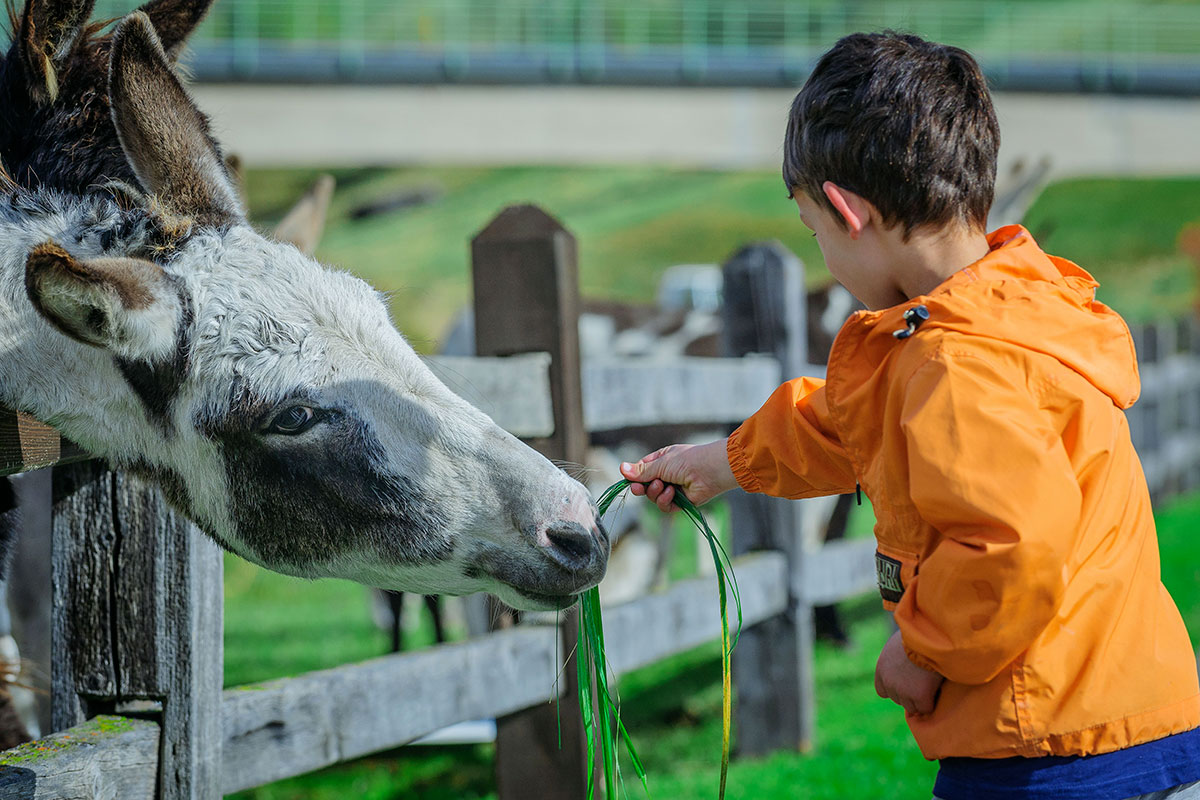 Tante occasioni per i bambini Livigno, e se piove? Tante alternative per tutti i gusti