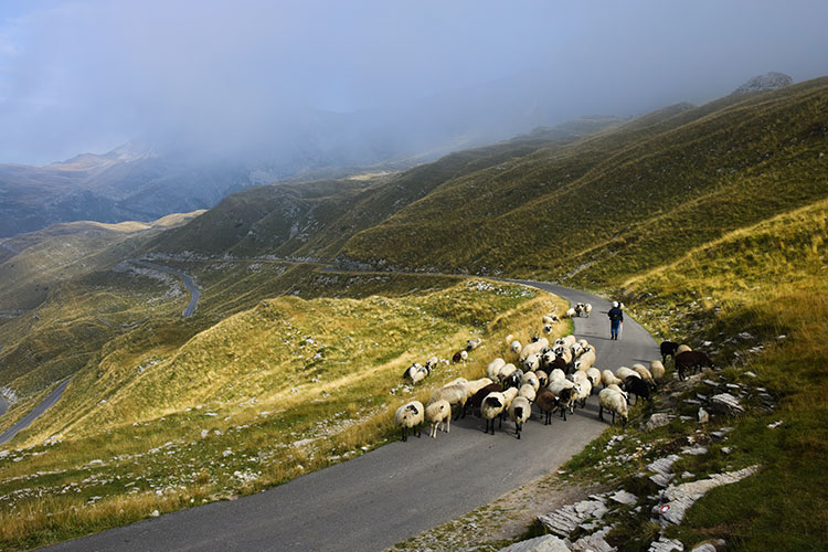 L’obiettivo è inserire nei percorsi turistici la filiera lattiero-casearia - Lungo le vie del latte...Formaggio come driver turistico