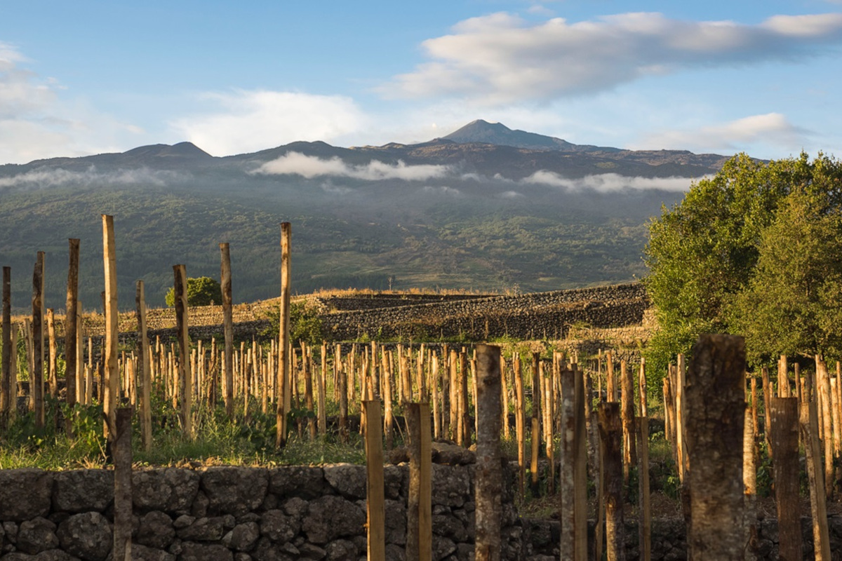 L'Etna studia da fine wine, ma «fugga dalle mode e cresca in qualità media»