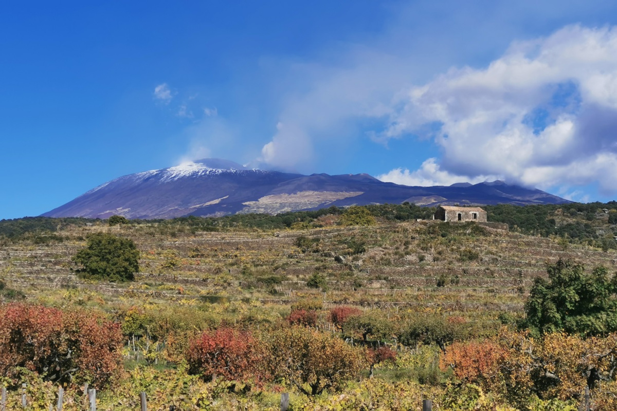 L'Etna studia da fine wine, ma «fugga dalle mode e cresca in qualità media»