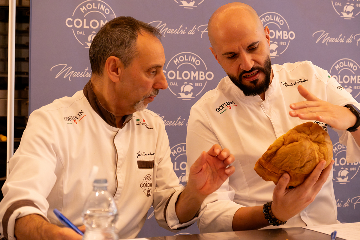Panettone da Maestro 2025: una logopedista batte tutti e alza la qualità del casalingo