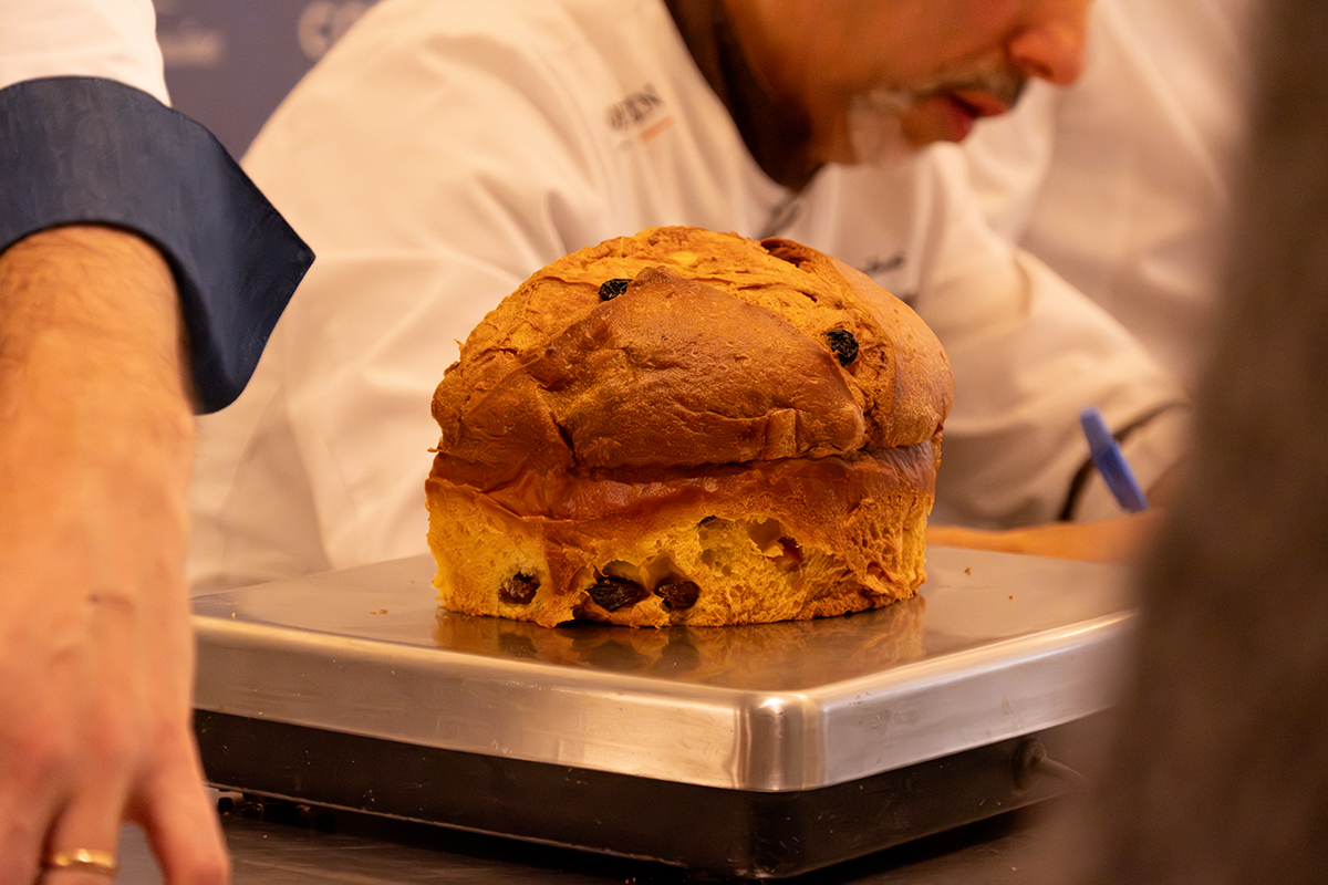 Panettone da Maestro 2025: una logopedista batte tutti e alza la qualità del casalingo