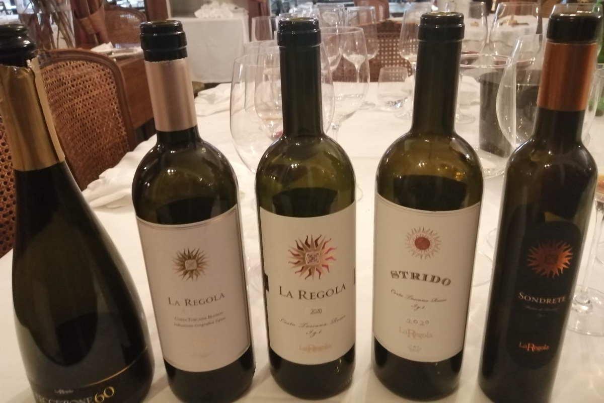 Vini, arte e cultura: la rivoluzione silenziosa de La Regola Vini, arte e cultura: la rivoluzione silenziosa de La Regola