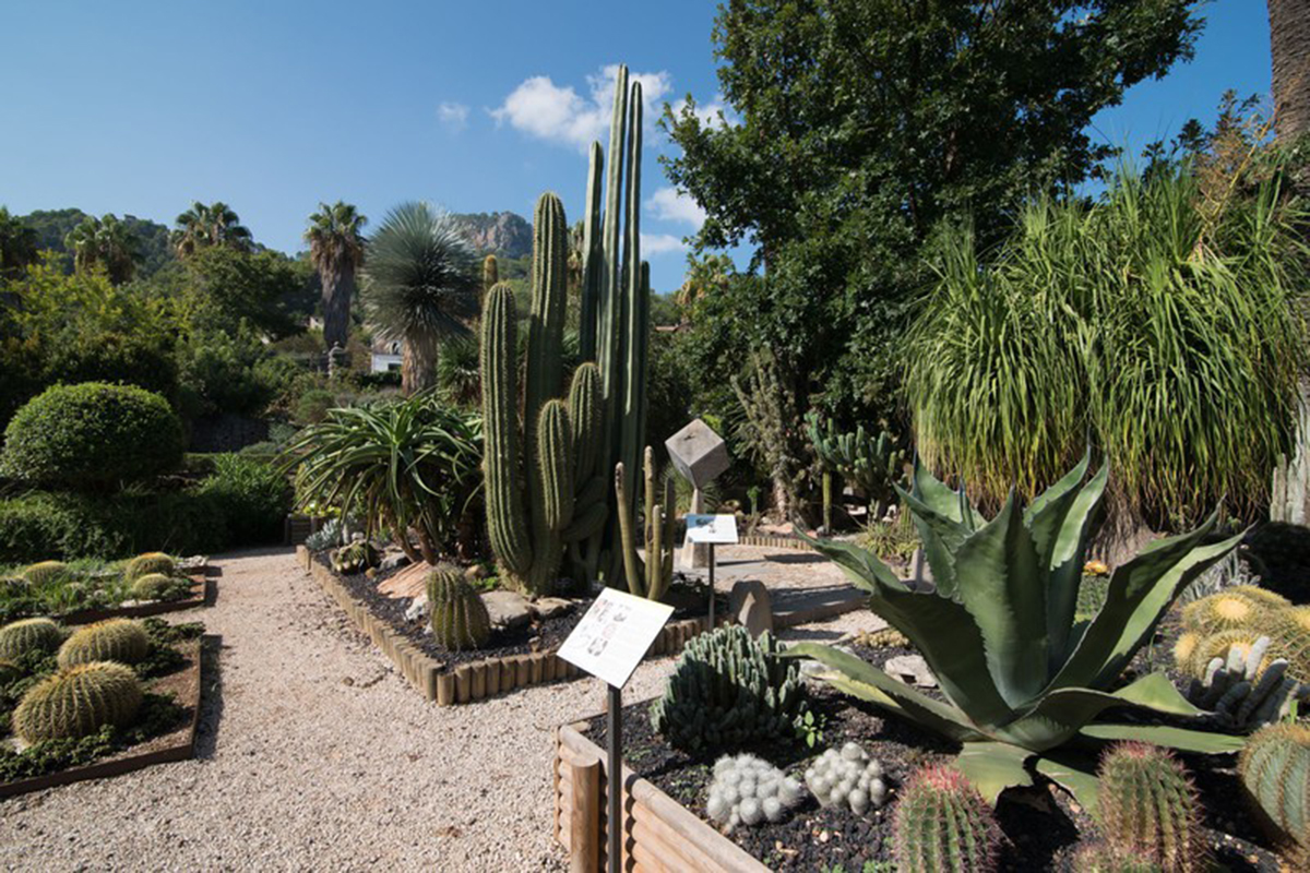 Maiorca Giardino botanico di Sóller Le Baleari non solo in estate: cosa fare tra sport, benessere e buona cucina