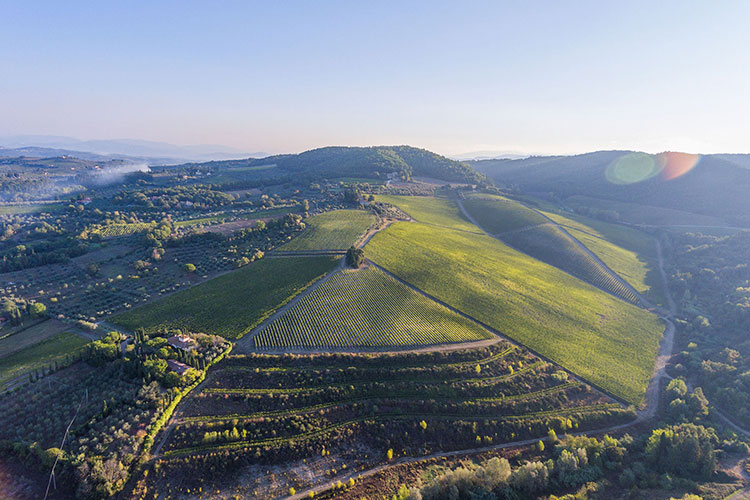 La collina del Tignanello - Marchese Antinori, collina in regalo 50° anniversario con il Tignanello