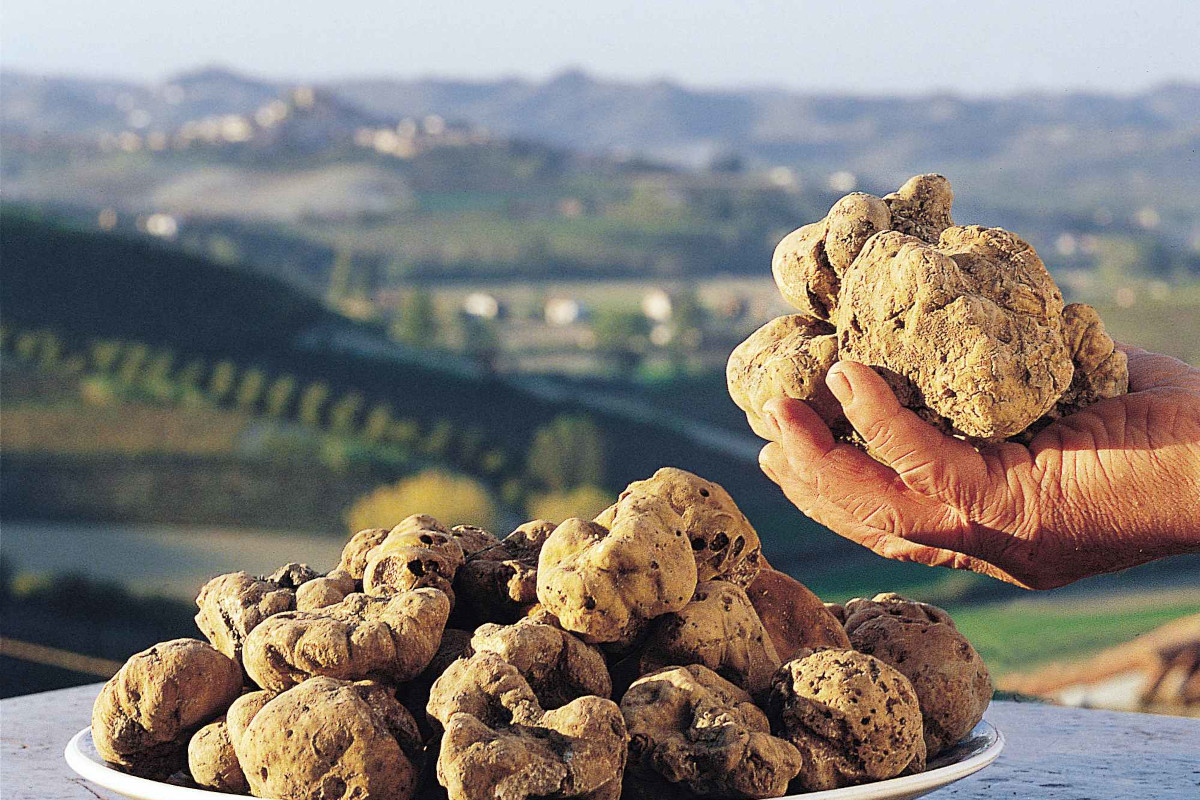 Due weekend tra tartufo e caci rotolanti: Volterra ti aspetta per una festa golosa