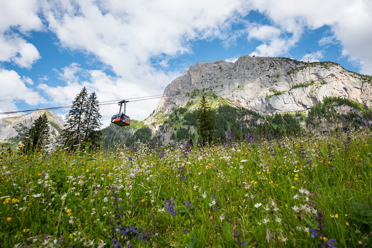 Prenotazioni confermate gi&agrave; per agosto 