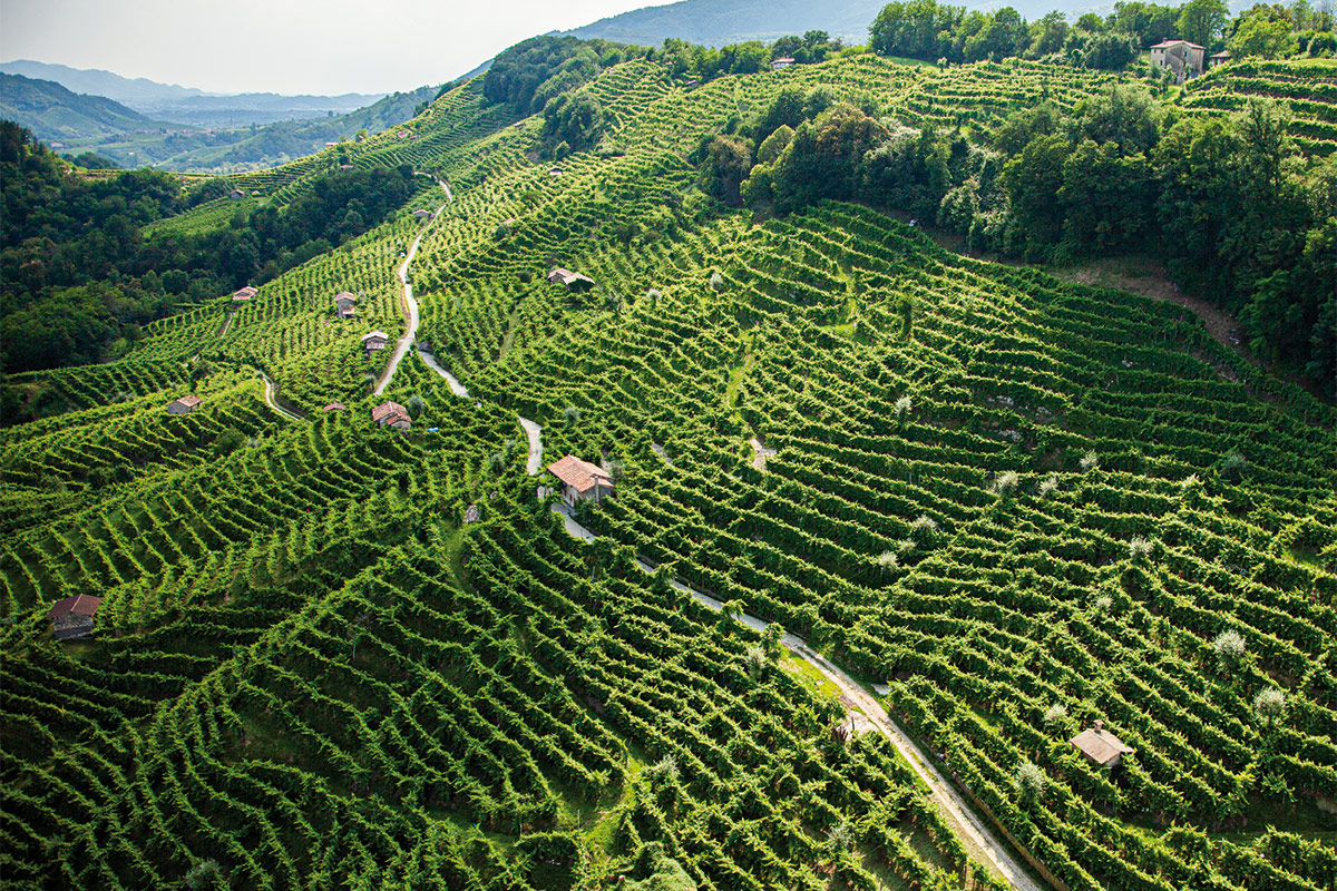 Marsuret, Prosecco d’eccellenza «La nostra è una viticoltura eroica»