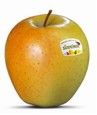 Golden Delicious Golden Delicious