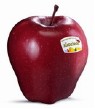 Red Delicious Red Delicious