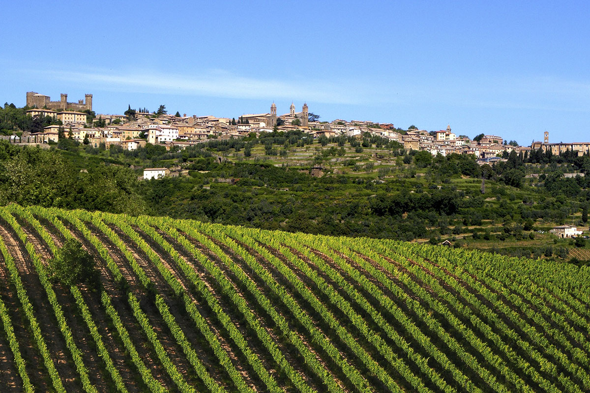 I vigneti di Montalcino Brunello di Montalcino, avvio da record per le vendite nel 2021