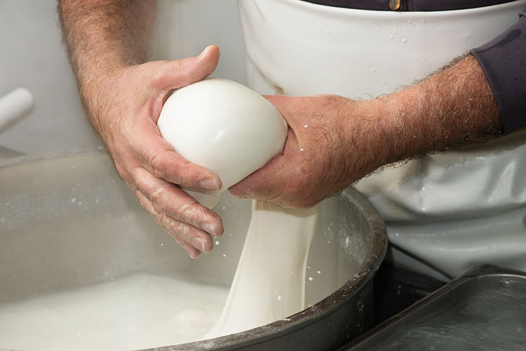 Mozzarella di Bufala Campana Dop  Mozzarella di Bufala Campana Dop in salute:  26% in sei anni