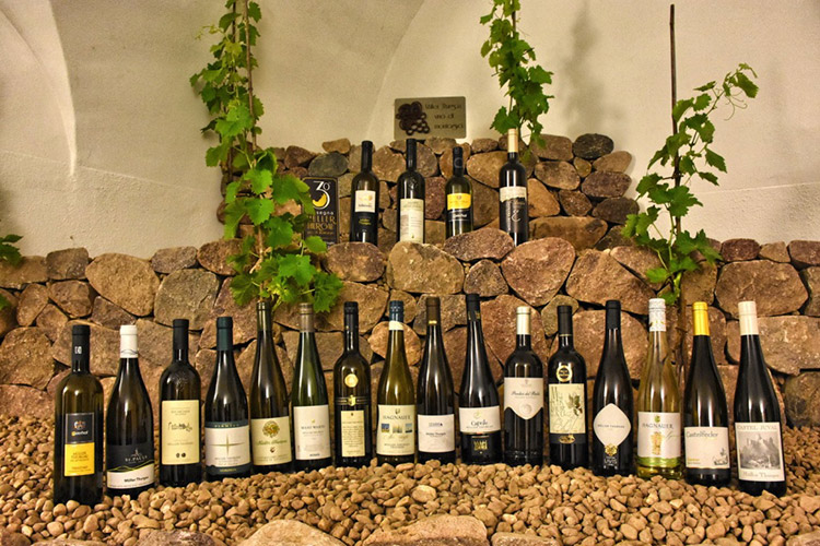 (M&uuml;ller Thurgau, vino di montagna In Val di Cembra la 31&ordf; edizione)