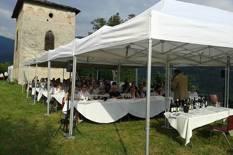 (M&uuml;ller Thurgau, vino di montagna In Val di Cembra la 31&ordf; edizione)