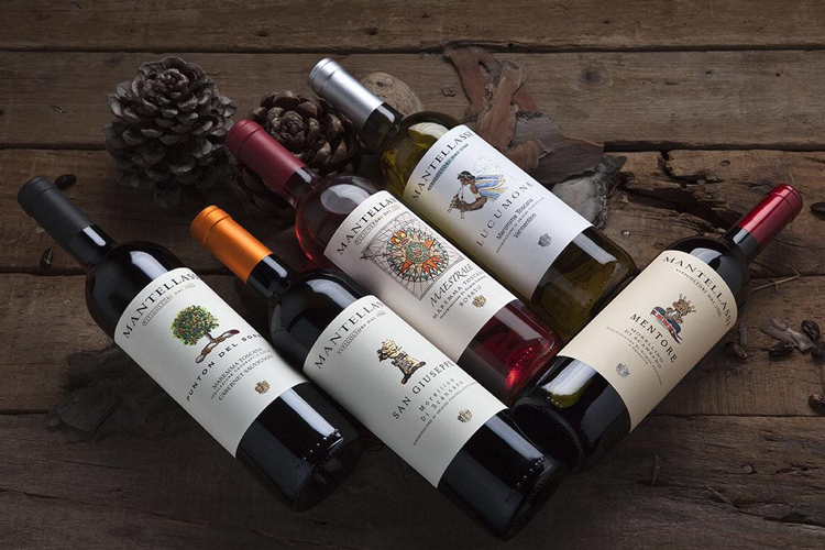 Novità tecnologiche per Mantellassi Progetto con Università della Tuscia Novità tecnologiche per Mantellassi Progetto con Università della Tuscia